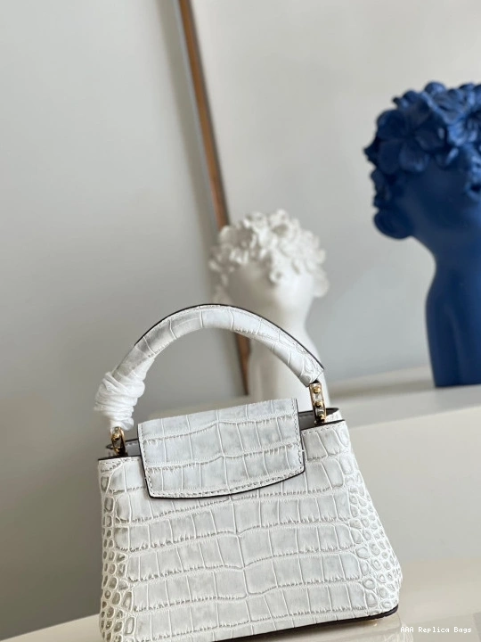 Aaa replica bags VUITTON MINI CAPUCINES LOUIS 0816